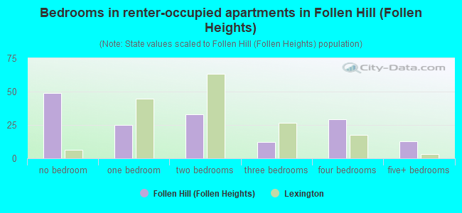 Bedrooms in renter-occupied apartments in Follen Hill (Follen Heights)