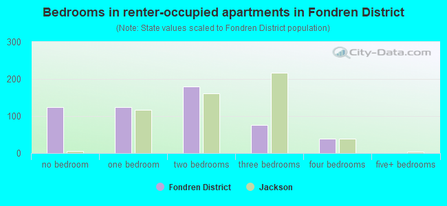 Bedrooms in renter-occupied apartments in Fondren District