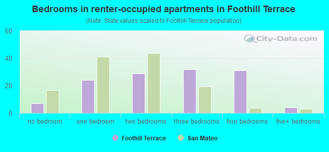 Bedrooms in renter-occupied apartments in Foothill Terrace