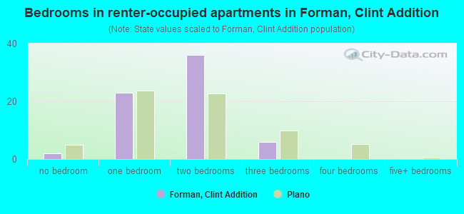 Bedrooms in renter-occupied apartments in Forman, Clint Addition