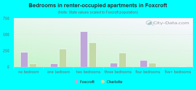 Bedrooms in renter-occupied apartments in Foxcroft