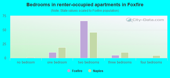 Bedrooms in renter-occupied apartments in Foxfire