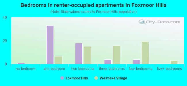 Bedrooms in renter-occupied apartments in Foxmoor Hills