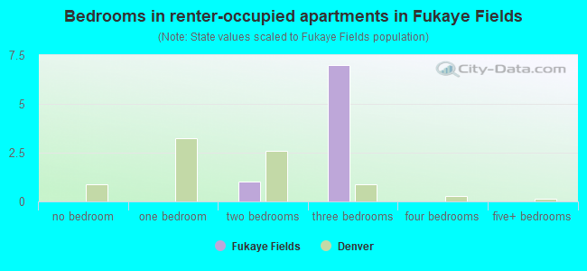Bedrooms in renter-occupied apartments in Fukaye Fields