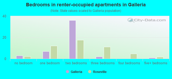 Bedrooms in renter-occupied apartments in Galleria