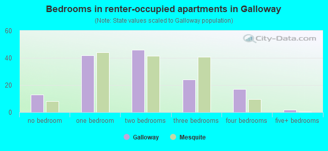 Bedrooms in renter-occupied apartments in Galloway