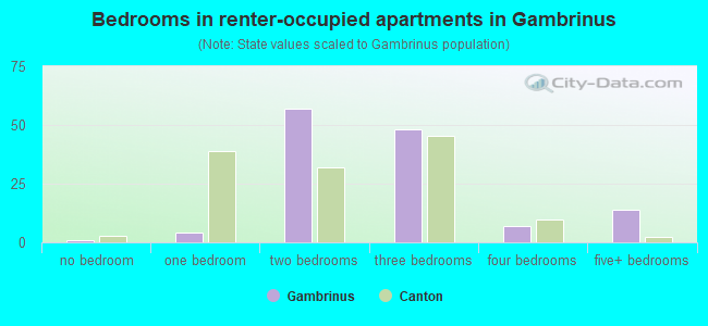 Bedrooms in renter-occupied apartments in Gambrinus