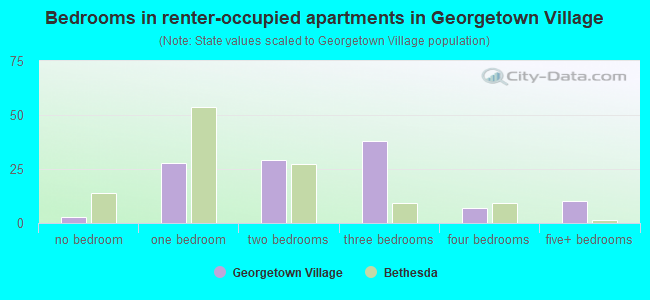 Bedrooms in renter-occupied apartments in Georgetown Village