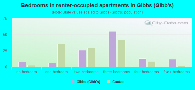 Bedrooms in renter-occupied apartments in Gibbs (Gibb's)