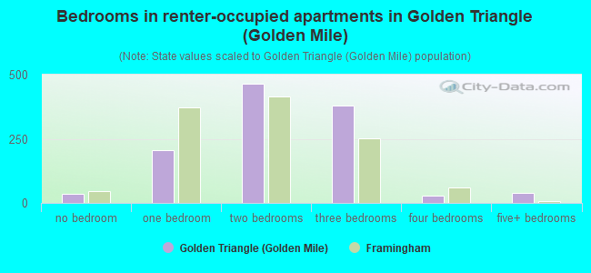 Bedrooms in renter-occupied apartments in Golden Triangle (Golden Mile)