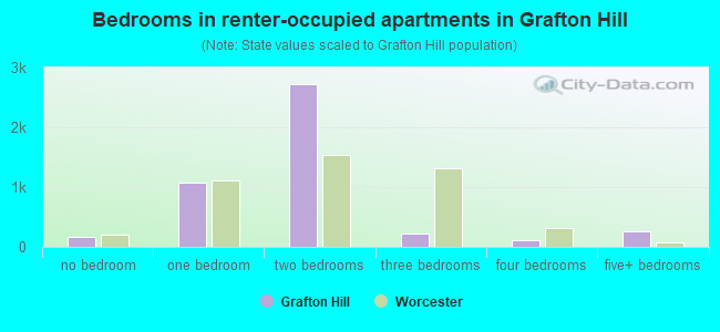 Bedrooms in renter-occupied apartments in Grafton Hill