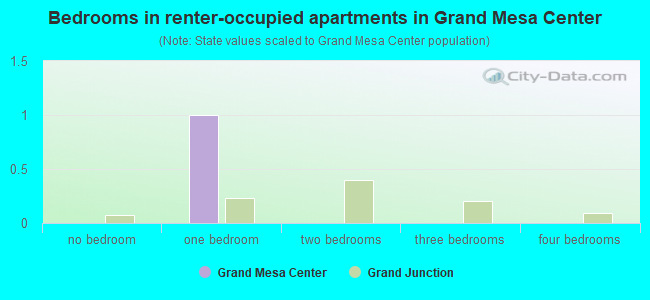 Bedrooms in renter-occupied apartments in Grand Mesa Center