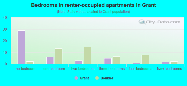 Bedrooms in renter-occupied apartments in Grant
