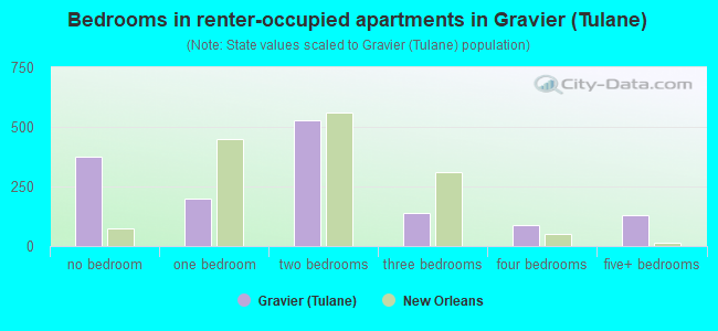 Bedrooms in renter-occupied apartments in Gravier (Tulane)