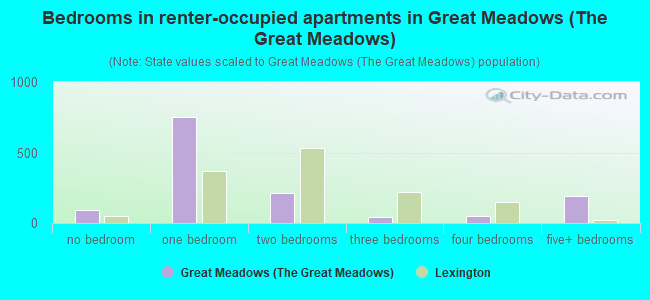 Bedrooms in renter-occupied apartments in Great Meadows (The Great Meadows)