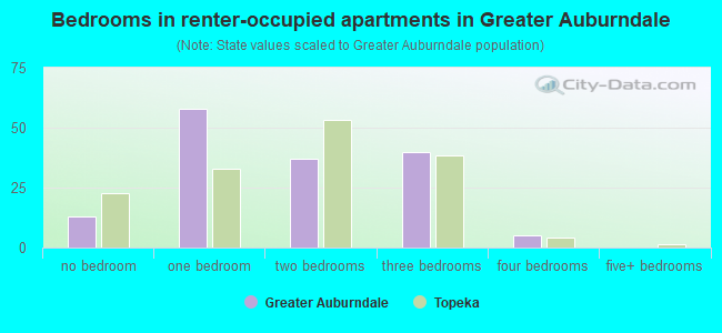 Bedrooms in renter-occupied apartments in Greater Auburndale