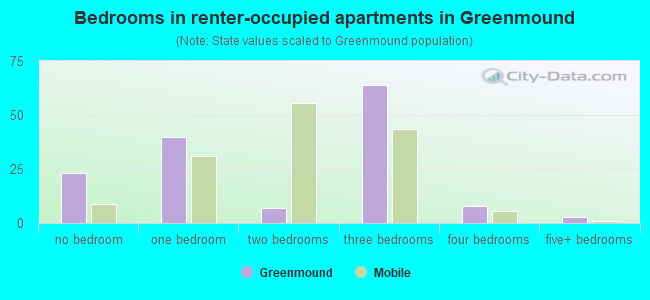 Bedrooms in renter-occupied apartments in Greenmound