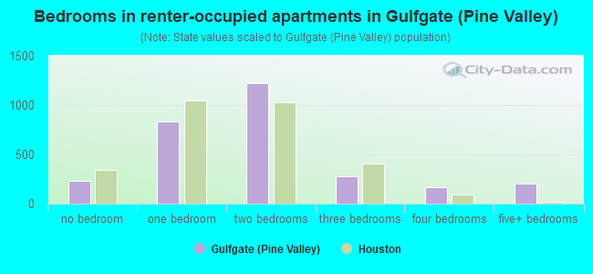 Bedrooms in renter-occupied apartments in Gulfgate (Pine Valley)