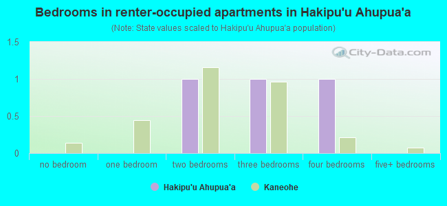 Bedrooms in renter-occupied apartments in Hakipu`u Ahupua`a