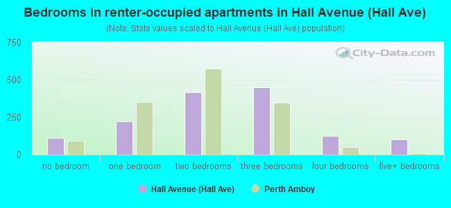 Bedrooms in renter-occupied apartments in Hall Avenue (Hall Ave)