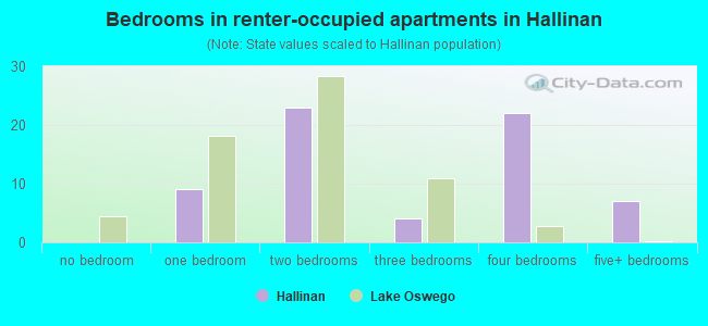 Bedrooms in renter-occupied apartments in Hallinan