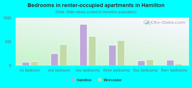 Bedrooms in renter-occupied apartments in Hamilton
