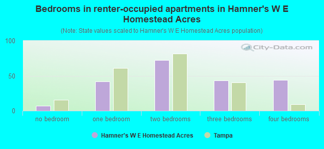 Bedrooms in renter-occupied apartments in Hamner's W E Homestead Acres
