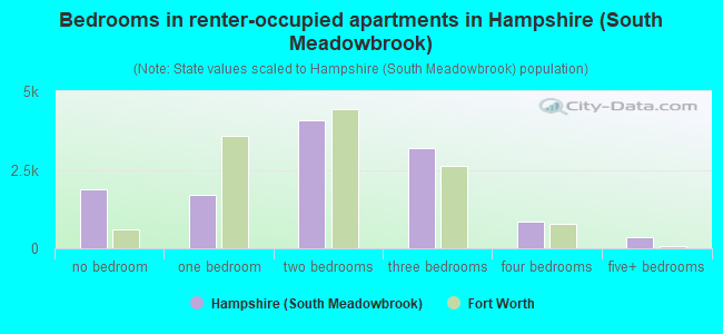 Bedrooms in renter-occupied apartments in Hampshire (South Meadowbrook)