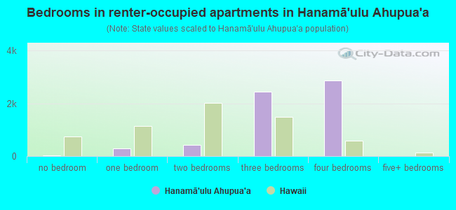 Bedrooms in renter-occupied apartments in Hanamā`ulu Ahupua`a