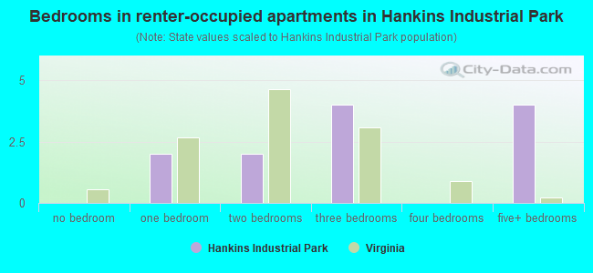 Bedrooms in renter-occupied apartments in Hankins Industrial Park