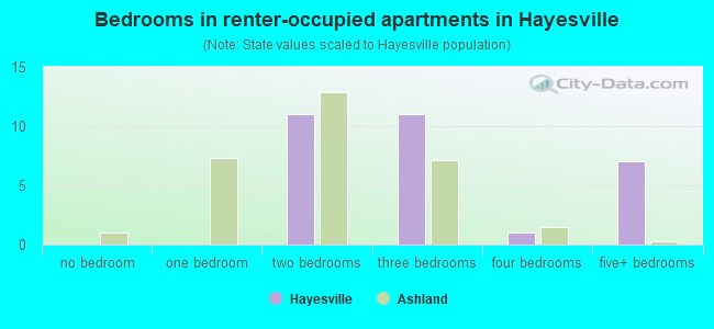 Bedrooms in renter-occupied apartments in Hayesville