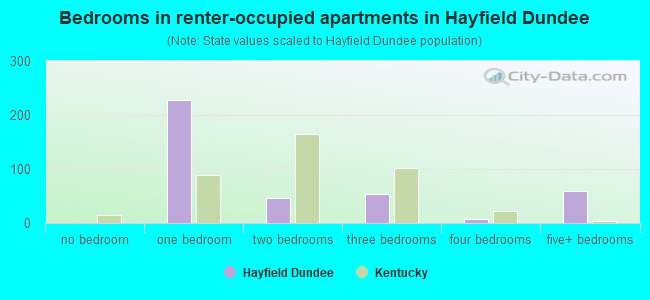 Bedrooms in renter-occupied apartments in Hayfield Dundee