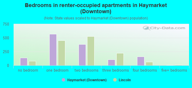 Bedrooms in renter-occupied apartments in Haymarket (Downtown)