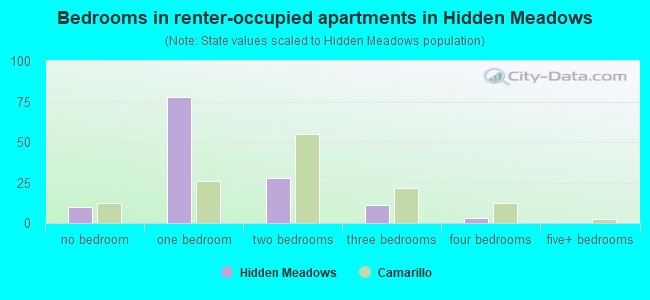 Bedrooms in renter-occupied apartments in Hidden Meadows