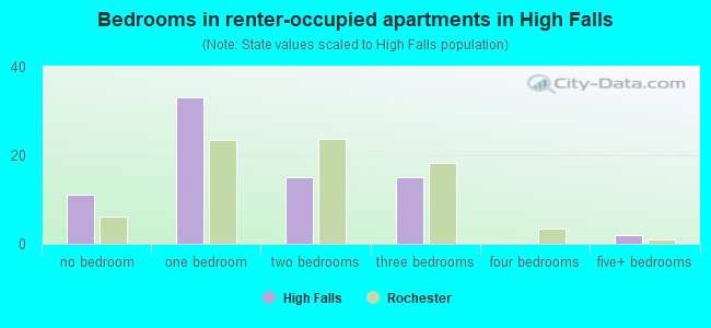 Bedrooms in renter-occupied apartments in High Falls