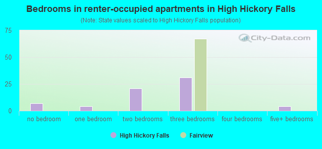 Bedrooms in renter-occupied apartments in High Hickory Falls