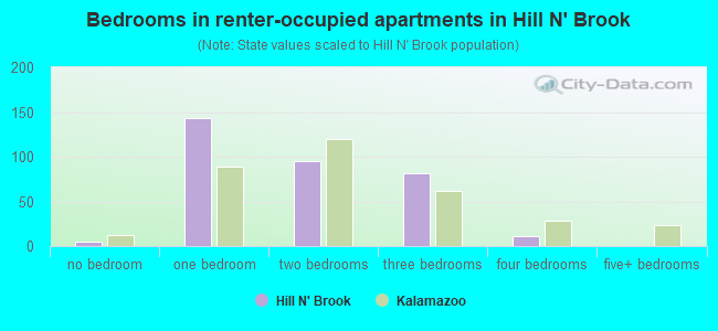 Bedrooms in renter-occupied apartments in Hill N' Brook