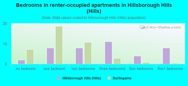 Bedrooms in renter-occupied apartments in Hillsborough Hills (Hills)
