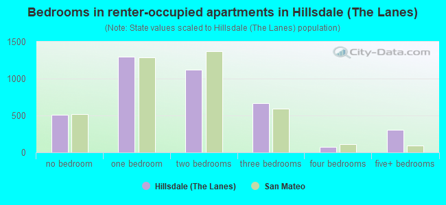 Bedrooms in renter-occupied apartments in Hillsdale (The Lanes)