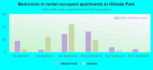 Bedrooms in renter-occupied apartments in Hillside Park