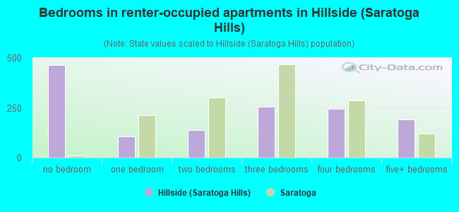 Bedrooms in renter-occupied apartments in Hillside (Saratoga Hills)