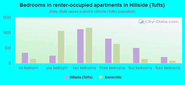 Bedrooms in renter-occupied apartments in Hillside (Tufts)