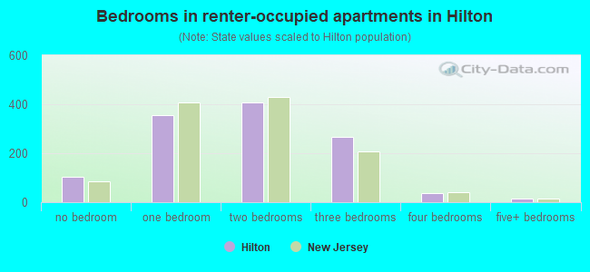 Bedrooms in renter-occupied apartments in Hilton