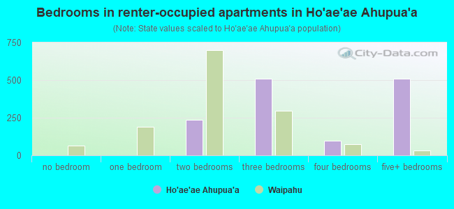 Bedrooms in renter-occupied apartments in Ho`ae`ae Ahupua`a