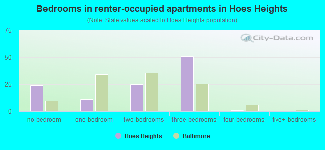 Bedrooms in renter-occupied apartments in Hoes Heights