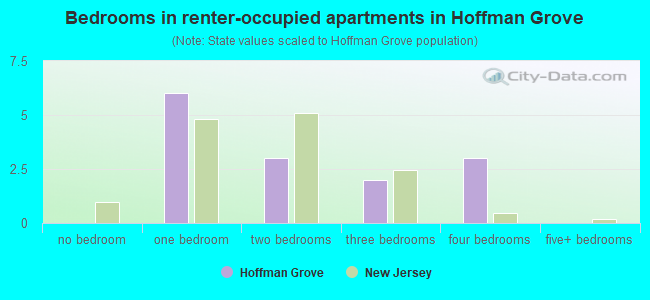 Bedrooms in renter-occupied apartments in Hoffman Grove