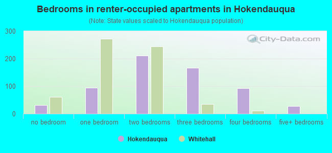 Bedrooms in renter-occupied apartments in Hokendauqua