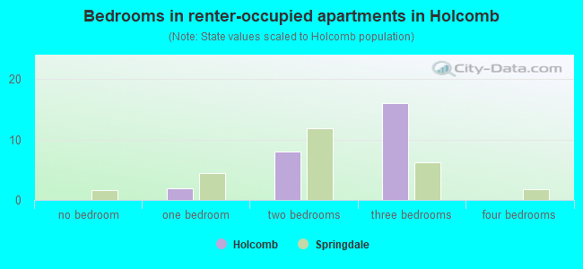 Bedrooms in renter-occupied apartments in Holcomb