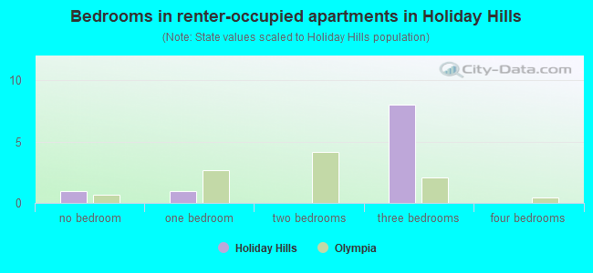 Bedrooms in renter-occupied apartments in Holiday Hills