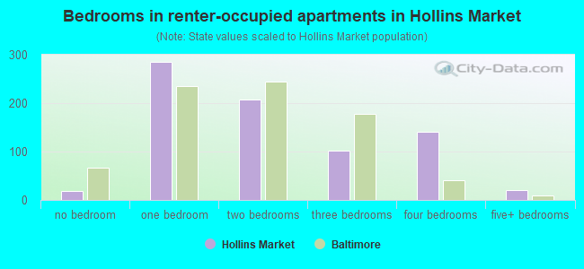 Bedrooms in renter-occupied apartments in Hollins Market